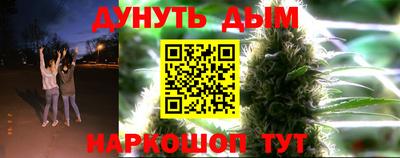скорость Новозыбков