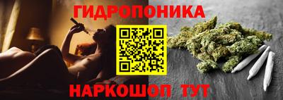 скорость Новозыбков
