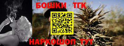 ECSTASY Новодвинск