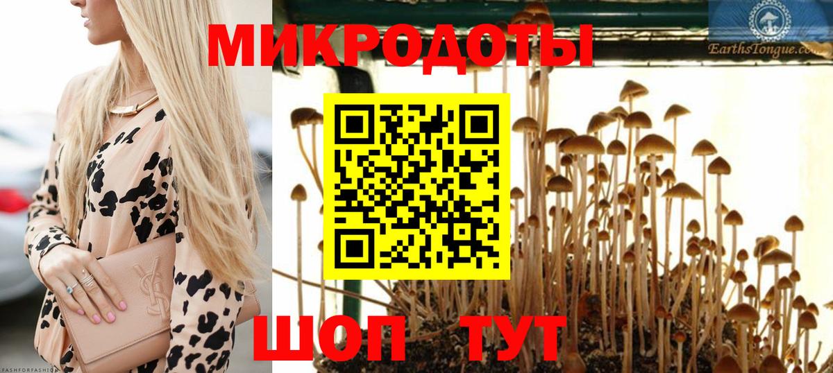 Тимашёвск  Галлюциногенные грибы ЛСД  Вход с VPN 